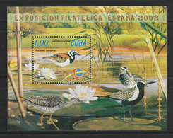 Cuba - 2002 - ( Birds - Espan ̃a 2002 Youth Philatelic Exposition, Salamanca ) - MNH (**) - Patos