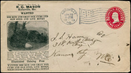 O Chiens & Canidés - Poste - (1913), USA Enveloppe 2c. Rouge: "R.C Mason, Red And Grey Fow Club". Illustré D'un Renard - Honden