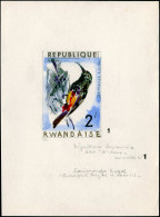 MAQ Oiseaux - Poste - Rwanda, Yvert 241, Maquette Originale Aquarelle & Encre (50x70), Signé Van Noten: 2f. Sonimanga - Altri & Non Classificati
