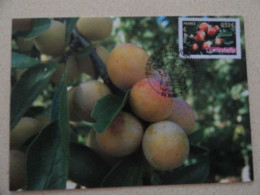 CARTE MAXIMUM CARD LA MIRABELLE DE NANCY MEURTHE ET MOSELLE OPJ NANCY FRANCE - Frutta