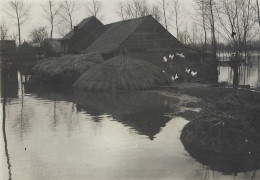 Grembergen.   -   Dendermonde    -   FOTO - Origineel!  (12 X 9) Cm   -   Overstroming  1929 - Dendermonde