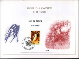BL57 - Bois Du Cazier - Souvenir Cards - Joint Issues [HK]