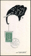 Belgium - Europa CEPT 1966 - Stempel : Postzegelsalon Borgerhout, 8e Lustrum - 1966