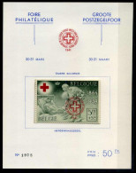 PR44 - Groote Postzegelfoor, Week Van Het Rode Kruis - Privé- & Lokale Post [PR & LO]