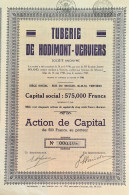 Tuberies De Hodimont-Verviers - 1936 - Action De Capital - Textiel