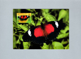 Papillons - Schmetterlinge