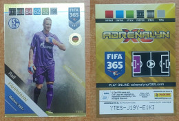 AC - 137 RALF FAHRMANN  SCHALKE 04  FANS FAVORITE  PANINI FIFA 365 2019 ADRENALYN TRADING CARD - Tarjetas