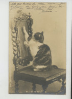 CHATS - CAT - MOUSE - Jolie Carte Fantaisie Chat Sur Une Chaise Et Souris "NE L'AURA PAS ! " - Cats