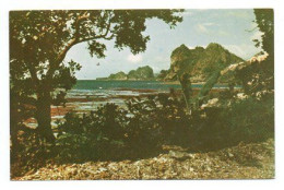 Carte Postale Moderne - 14 Cm X 9 Cm - Non Circulé - NOUVELLE CALEDONIE - Paysage Côte Est - Neukaledonien