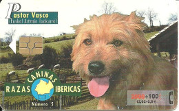 Spain: Telefonica - 2000 Real Sociedad Canina Espanõla, Pastor Vasco - Emisiones Privadas