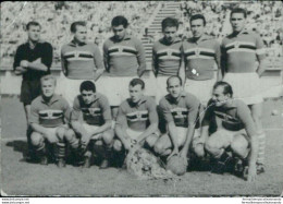 Bn43 Figurina Calcio Formazione Sampdoria 1959-60 - Kataloge