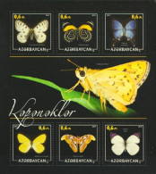 Azerbajan 2017, Animals, Butterfly, 6val In Block - Azerbaijan