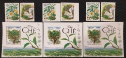 Viet Nam Vietnam MNH Perf, Imperf & Specimen Stamps + SS Issued On Internationa Tea Day / Flora / Flower / Fruit 2024 - Vietnam
