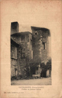 K1905 - CASTELJALOUX - D47 - Château De Jeanne D'Albret - Casteljaloux