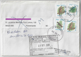 Brazil 2001 Returned To Sender Cover From Florianópolis Agency Central Urban Bird Swallow Hawk Fork-tailed Flycatcher - Autres & Non Classés