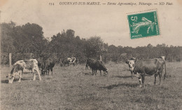 93 GOURNAY-SUR-MARNE FERME AGRONOMIQUE  PATURAGE - Gournay Sur Marne