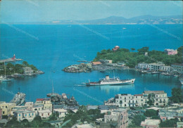 Cr437 Cartolina Porto D'ischia Provincia Di Napoli Campania - Napoli (Napels)