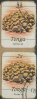 Tonga 1984 SG866 2s Stony Coral X2 FU - Tonga (1970-...)