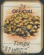 Tonga Official 1984 SGO221 2s Stony Coral OFFICIAL #1 FU - Tonga (1970-...)
