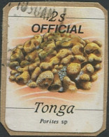 Tonga Official 1984 SGO221 2s Stony Coral OFFICIAL #2 FU - Tonga (1970-...)