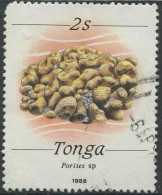 Tonga 1988 SG1000 2s Stony Coral FU - Tonga (1970-...)