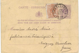 Carte-correspondance N° 28 écrite De Couillet Vers Avignon France - Kartenbriefe