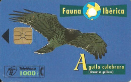 Spain: Telefonica - 1998 Fauna Ibérica, Aguila Culebrera - Emisiones Privadas