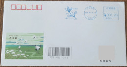 China Cover "Red Crowned Crane" (Kenli, Shandong) Postage Stamp First Day Actual Sent Art Seal - Cartoline Postali