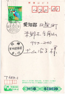 78988 - Japan - 1989 - ¥40 SommergrussGAKte "Eisvogel" M Stpl "Neue Gebuehr Bezahlt" OKAZAKI -> Nisshin - Autres & Non Classés