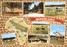 72543486 Stukenbrock Grosswild Safari Loewen Zebras Antilopen Elefanten Giraffen - Sonstige & Ohne Zuordnung