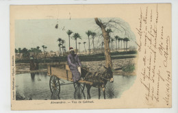AFRIQUE - EGYPTE - ALEXANDRIE - Vue De Gabbari (attelage âne ) - Alexandrie