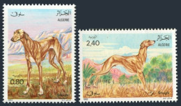 Algeria 727-728,MNH.Michel 838-839. Sloughi Dog,1983. - Argelia (1962-...)