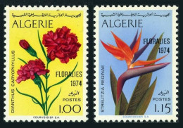 Algeria 518-519,MNH.Michel 628-629. FLORALIES 1974.Flowers. - Algérie (1962-...)