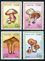 Algeria 908-911, MNH. Michel 1010-1013. Mushrooms, 1989. - Algerien (1962-...)