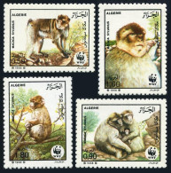 Algeria 872-875, MNH. Mi 972-975. WWF 1988.Monkeys:Barbaty Apes,Macaca Sylvanus. - Algerien (1962-...)