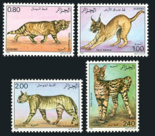 Algeria 801-804,MNH. Wildcats 1986.Felis Margarita,caracal,sylvestris,serval. - Algerien (1962-...)