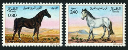 Algeria 743-744,MNH.Michel 854-855. Horses 1984.Brown Stallion,White Mare. - Algérie (1962-...)