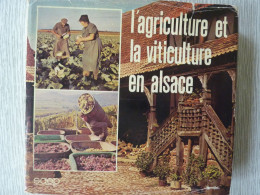 L'Agriculture Et La Viticulture En Alsace à Travers Les Siècles, Lucien Sittler, 1974, Illustré - Alsace