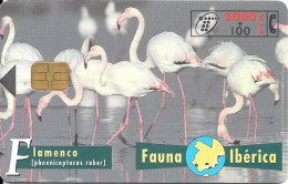 Spain: Telefonica - 1997 Fauna Ibérica, Flamenco - Emisiones Privadas