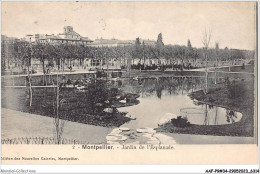 AAFP9-34-0859 - MONTPELLIER - Jardin De L'Esplanade - Montpellier