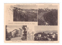 BOSCO CHIESANUOVA - Vedute - VERONA - VIAGGIATA - Verona