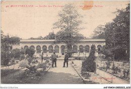 AAFP9-34-0807 - MONTPELLIER - Jardin Des Plantes Les Grandes Serres - Montpellier