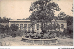 AAFP8-34-0745 - MONTPELLIER - Le Jardin Botanique - Montpellier
