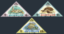 Ascension 170-172, CTO. Mi 170-172. Turtle: Green, Loggerhead, Hawksbill, 1973. - Ascension (Ile De L')