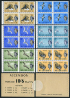 Ascension 84a Booklet, MNH. Birds 1963:Brown,black Booby,Black Noddy,Fairy Tern, - Ascension