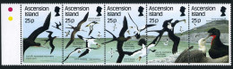 Ascension 430 Ae Strip, MNH. Michel 443-447. Frigate-birds 1987. - Ascension