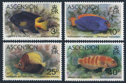 Ascension 262-265,MNH.Michel 264-267. Fish 1980:Yellowtail,Angel,Butterfly-fish, - Ascension (Ile De L')