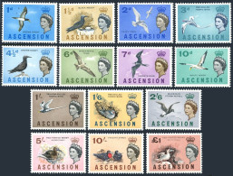Ascension 75-88, MNH. Mi 75-88. Birds 1963: Booby, Terns, Tropic, Phase,Frigate, - Ascension