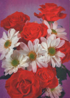 FLOWERS Vintage Postcard CPSM #PBZ874.A - Blumen