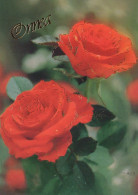 FLOWERS Vintage Postcard CPSM #PBZ444.A - Blumen
